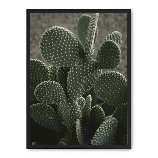 Cuadro Cactus ii_FASE5