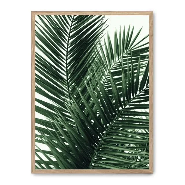 AlexandreHouse Cuadro Palm Leaves_FASE5