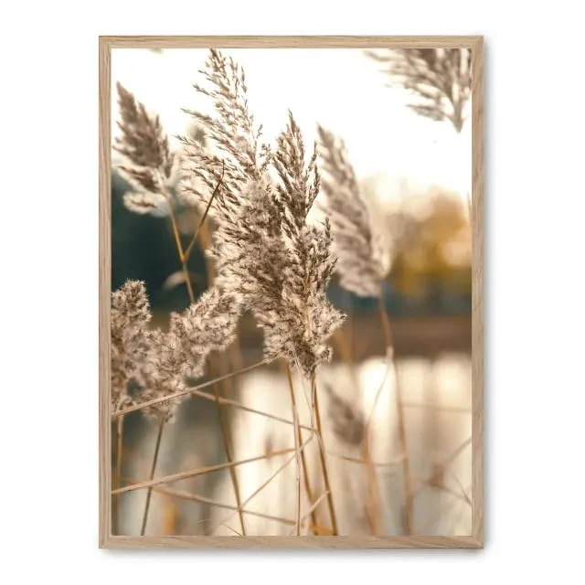 Cuadro Pampas i_FASE5 - Image 1