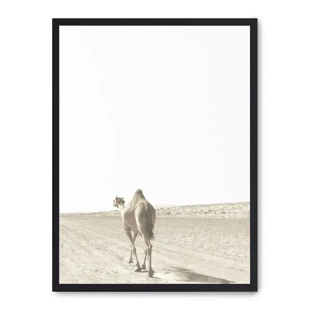 AlexandreHouse Cuadro Camel i_FASE5