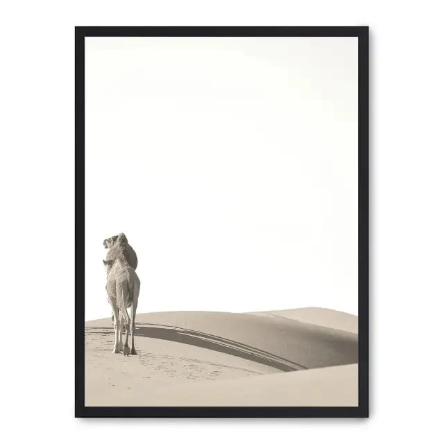Cuadro Camels i_FASE5