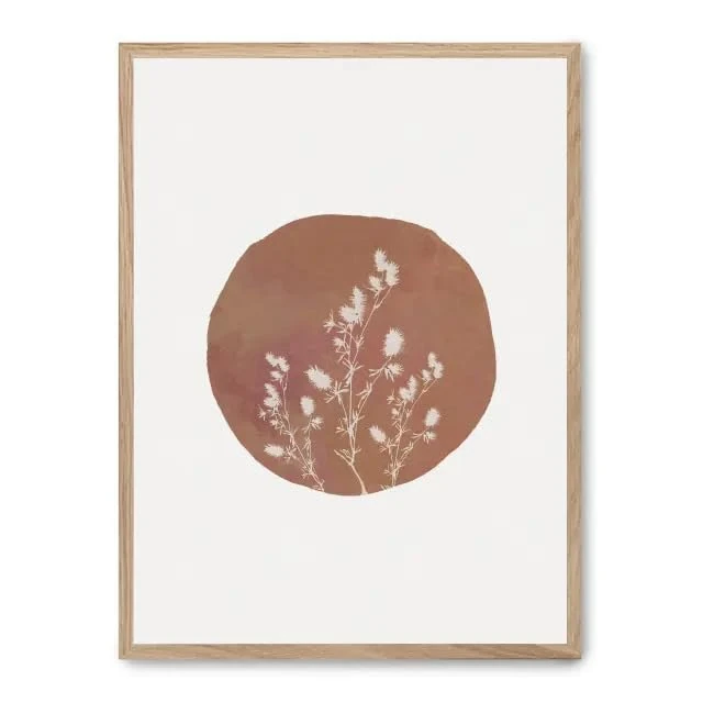 AlexandreHouse bloom circle_FASE5 frame - Image 1