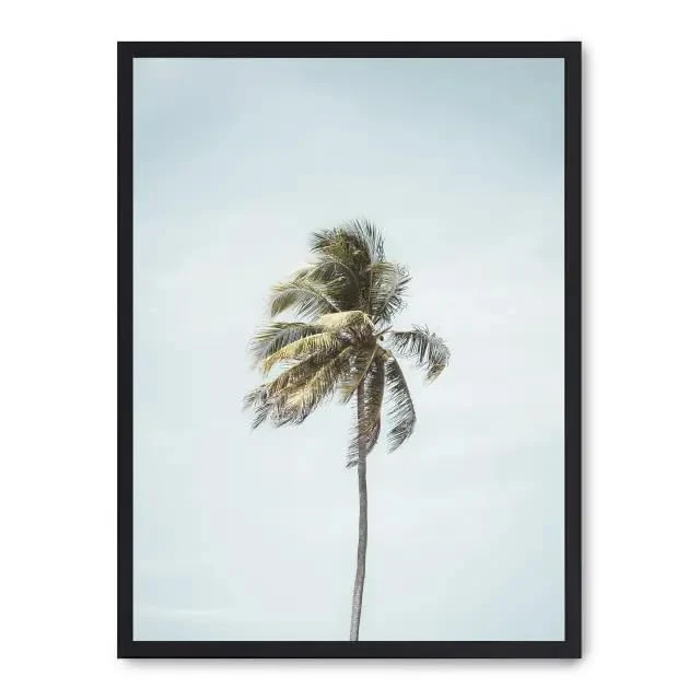 AlexandreHouse Cuadro Palm Beach i_FASE5 - Image 1