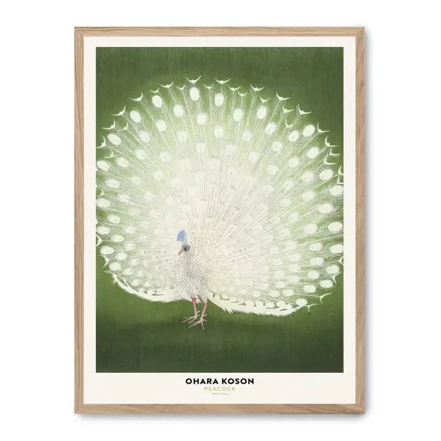 Cuadro White Peacock Beauty_FASE5 - Image 1