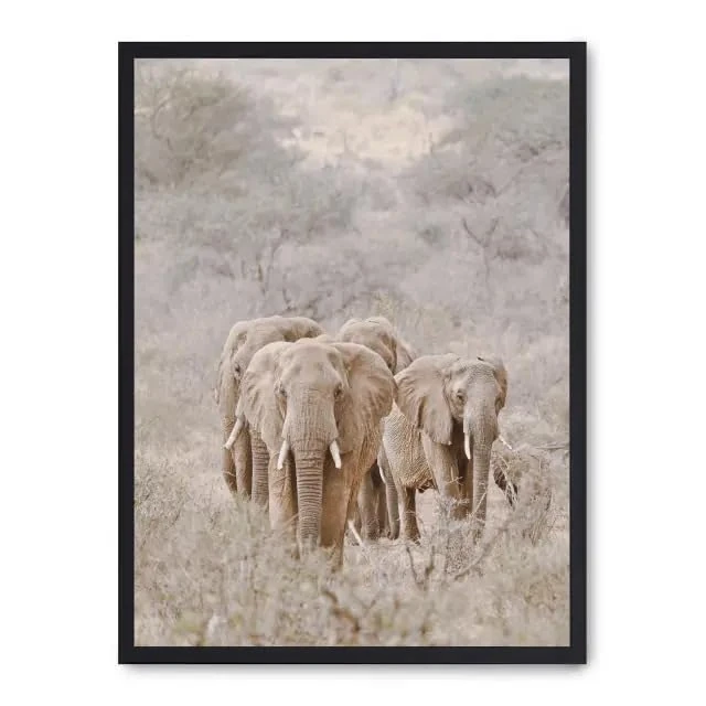 Cuadro Elephant Herd i_FASE5