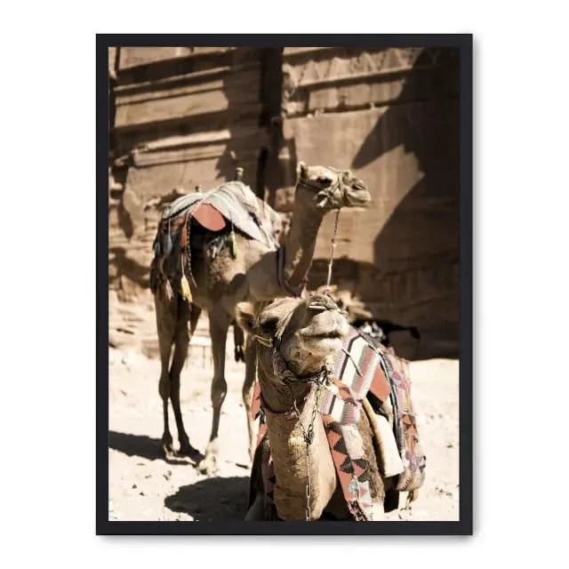Cuadro Camels in Petra ii_FASE5 - Image 1