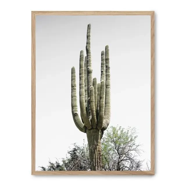 AlexandreHouse Cuadro Cactus Saguaro i_FASE5 - Image 1