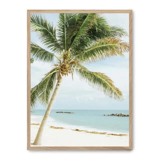 AlexandreHouse Cuadro palm tree in paradise_FASE5 - Image 1