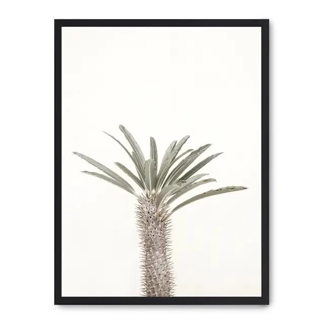 AlexandreHouse Cuadro Palm Desert_FASE5 - Image 1