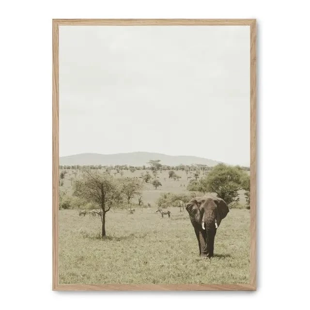 Cuadro Elephant in The Savannah ii_FASE5 - Image 1