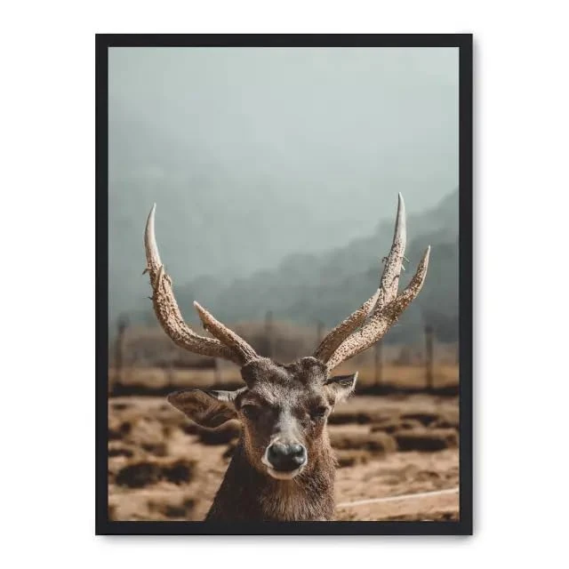 Cuadro Deer_FASE5 - Image 1