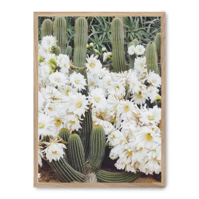 AlexandreHouse Cuadro Cactus in Flower_FASE5 - Image 1
