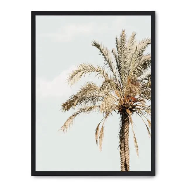 AlexandreHouse Cuadro Palm Tree and Sky i_FASE5 - Image 1