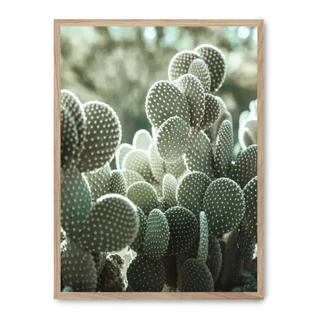 Cuadro Cactus i_FASE5 - Image 1