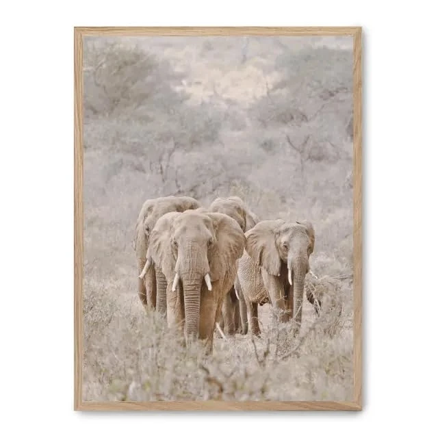 AlexandreHouse Cuadro Elephant Herd i_FASE5 - Image 1