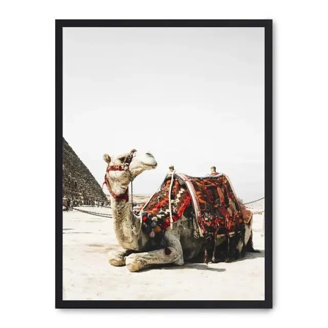 AlexandreHouse Cuadro Camel in Egypt i_FASE5 - Image 1
