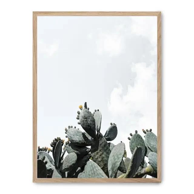 Cuadro Cactus_FASE5 - Image 1