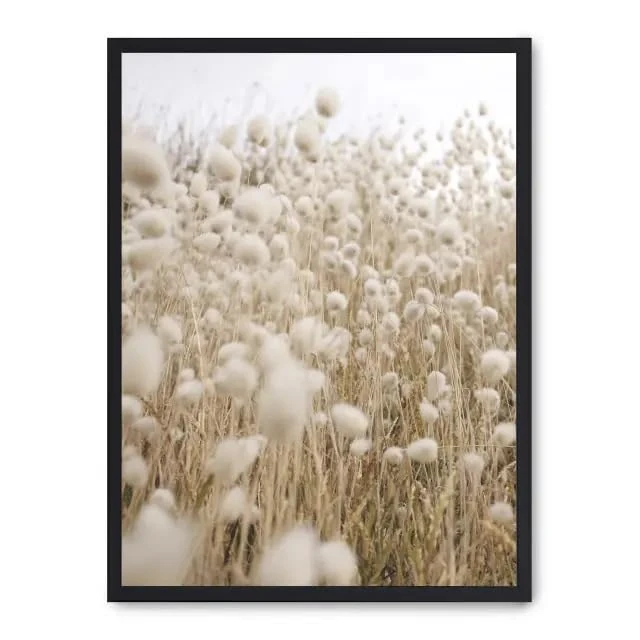 Cuadro Cotton Sea_FASE5 - Image 1