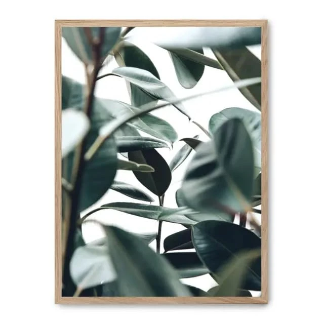 AlexandreHouse Box leaves i_FASE5 - Image 1