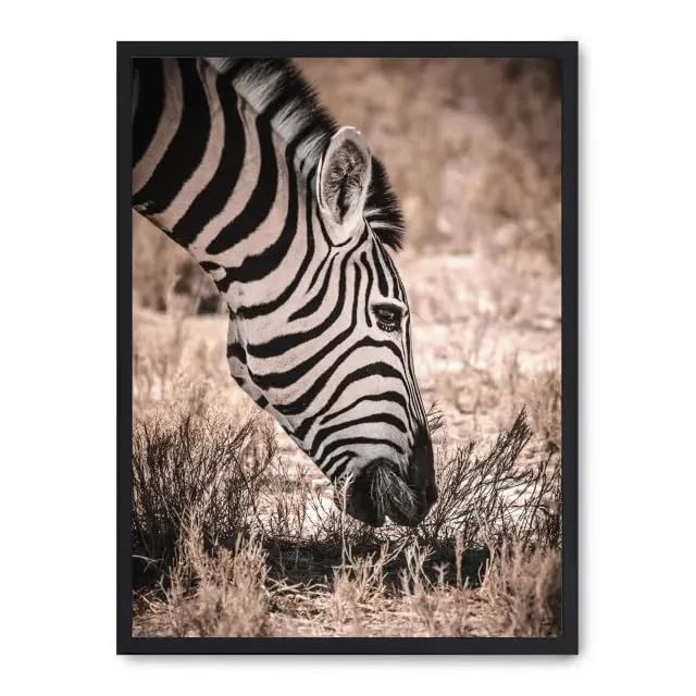Cuadro grazing Zebra_FASE5 - Image 1