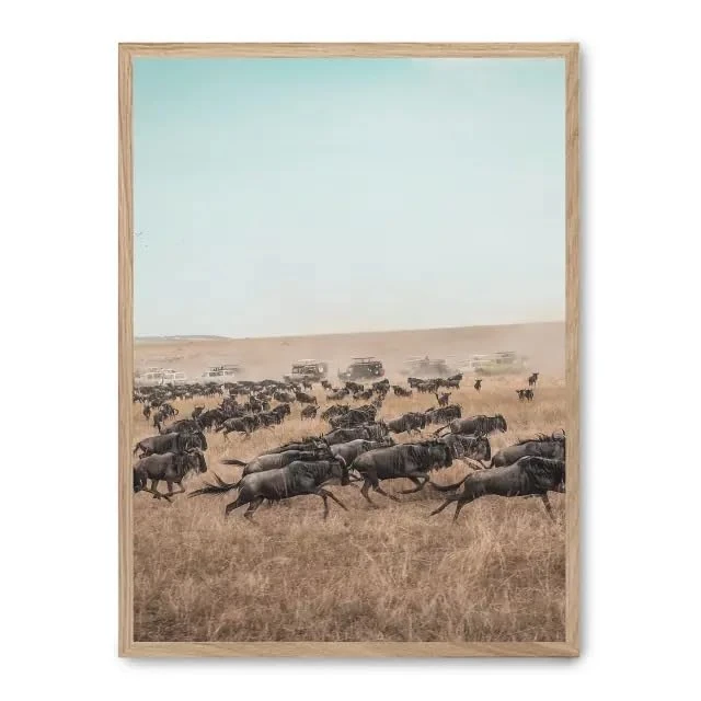 AlexandreHouse wildebeest stampede_FASE5 picture - Image 1
