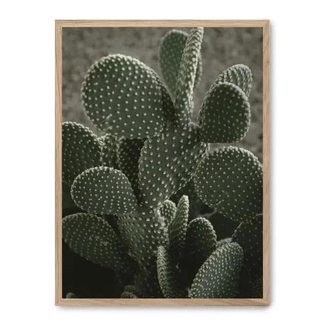 AlexandreHouse Cuadro Cactus ii_FASE5 - Image 1