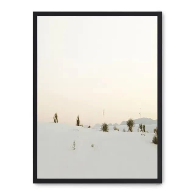 Cuadro Desert Landscape v_FASE5