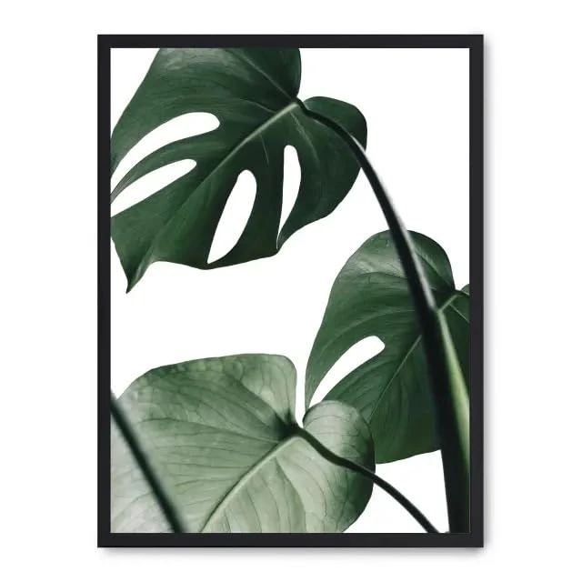 AlexandreHouse Cuadro Monstera Leaves ii_FASE5 - Image 1