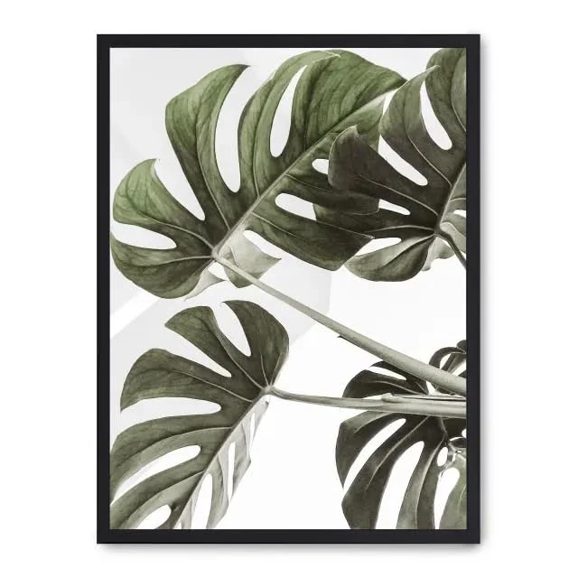 AlexandreHouse Painting monstera leaves i_FASE5 - Image 1