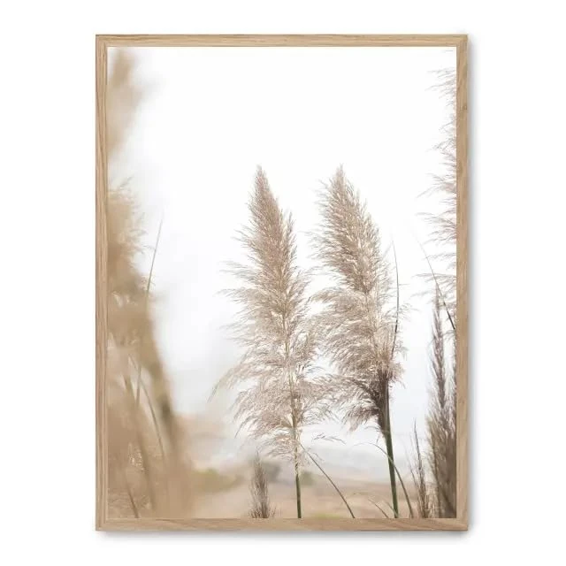 Cuadro Pampas iii_FASE5 - Image 1