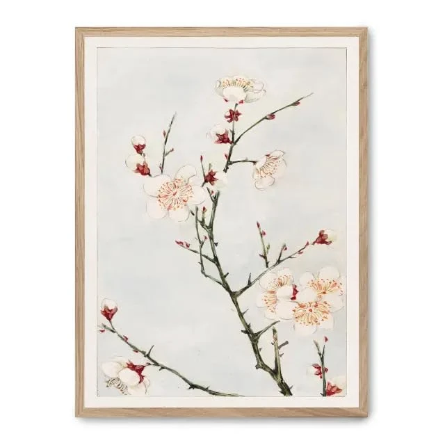 Cuadro Blossoming Beauty_FASE5