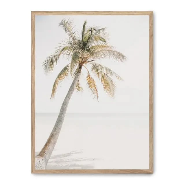 Cuadro Palm Beach iii_FASE5 - Image 1