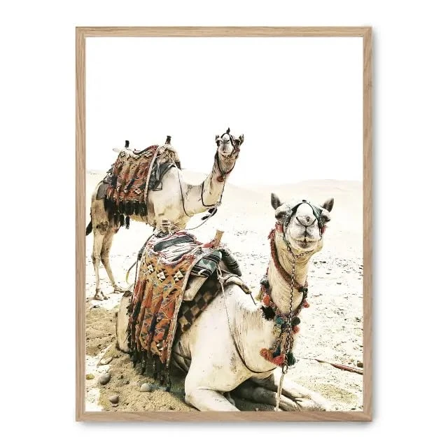 AlexandreHouse Cuadro Camels ii_FASE5 - Image 1