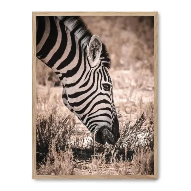 AlexandreHouse Cuadro grazing zebra_FASE5 - Image 1