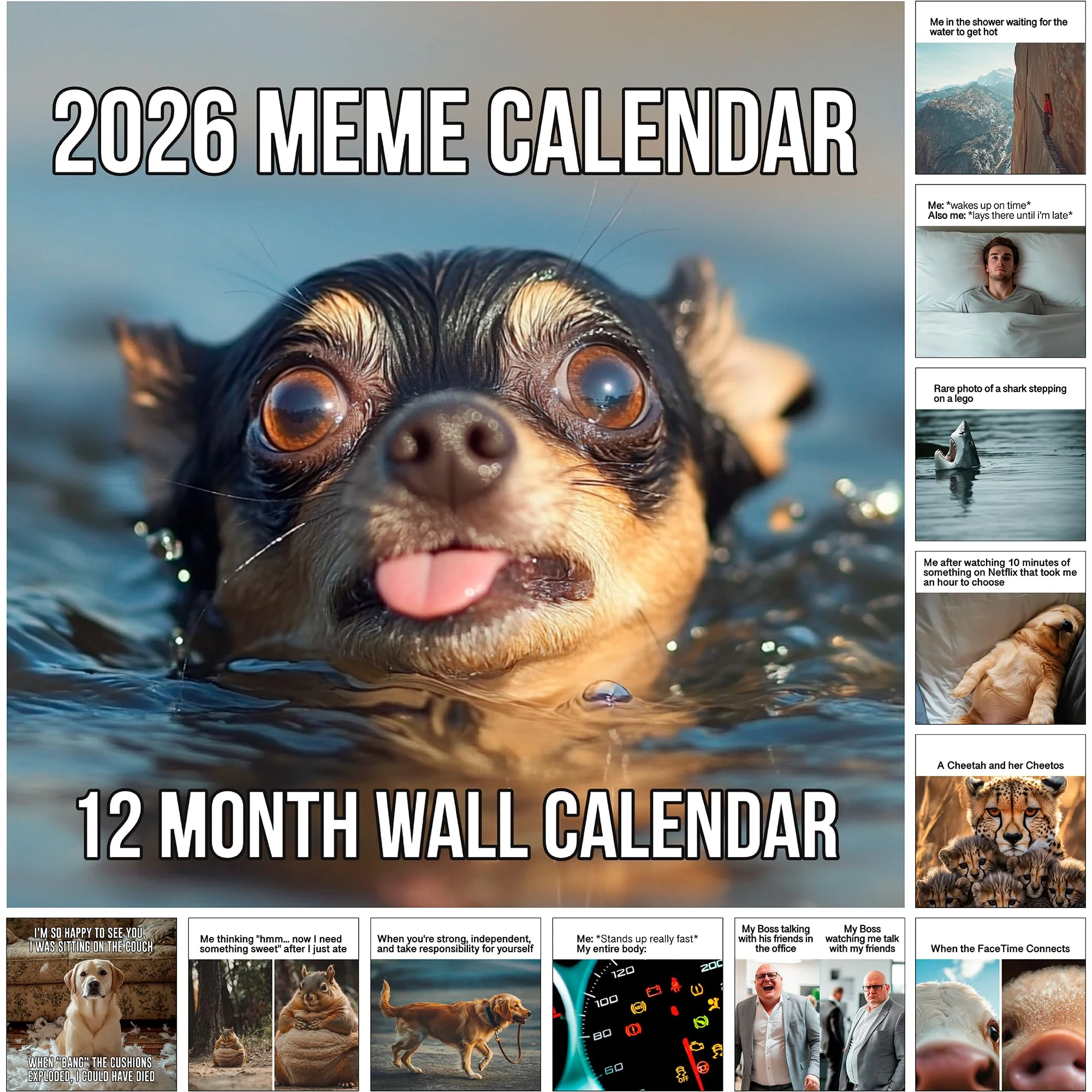 2026 Memes Wall Calendar (2026 Calendar)