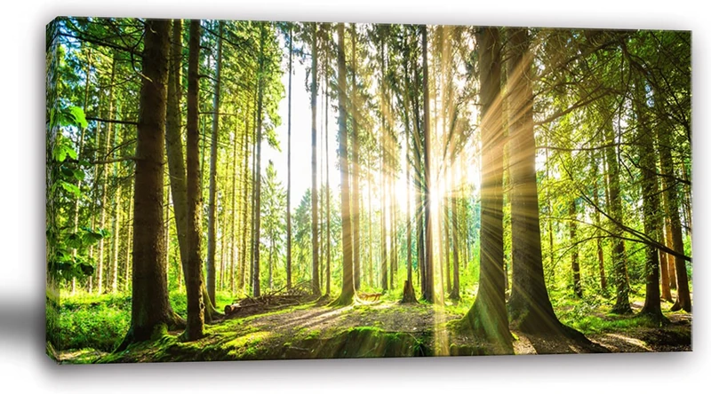 Yxbhhym-Landscape Canvas Wall Art Décor Spring Forest Picture Painting Natural Sun Tree Prints Art Green Room Decor Sunset Poster Living Room Wall Decor Bedroom Artwork for Wall Office Decor
