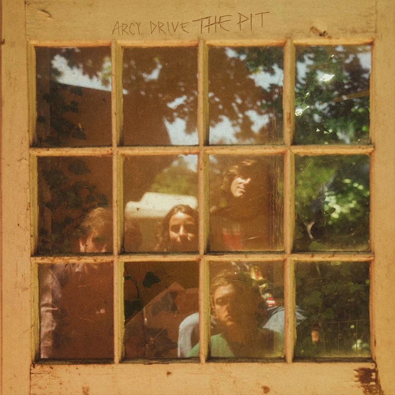 The Pit [Vinyl LP] [VINYL]