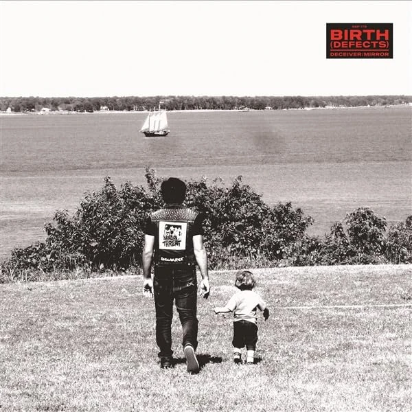 DECEIVER/MIRROR [VINYL]