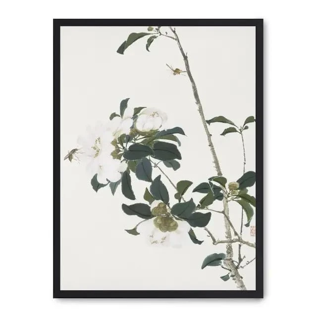 Cuadro Delicate Beauty - Image 1