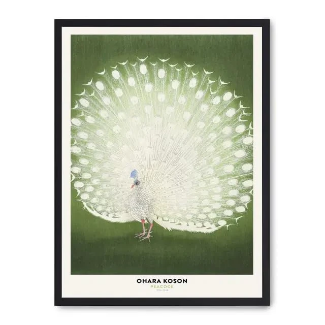 AlexandreHouse Cuadro White Peacock Beauty - Image 1