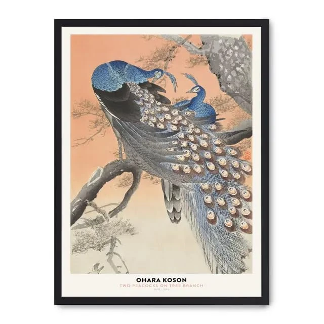 Cuadro Peacock Family - Image 1