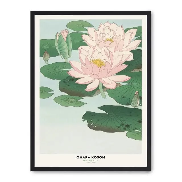 AlexandreHouse Cuadro Water Lily - Image 1