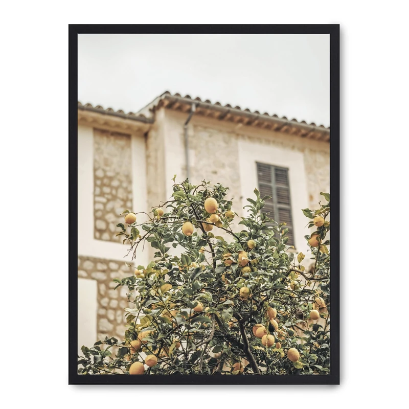 AlexandreHouse Cuadro Lemon Tree - Image 1
