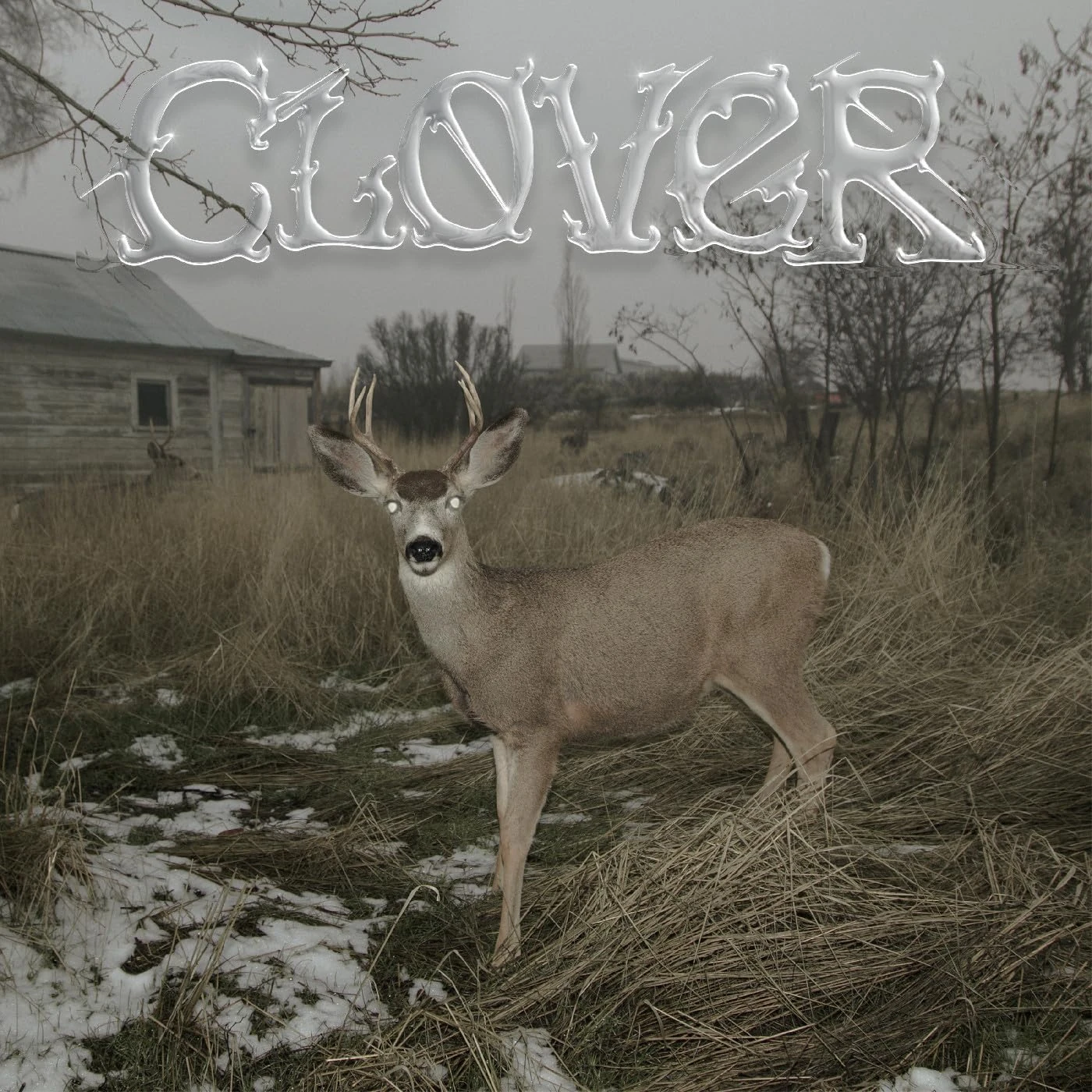 Clover [VINYL]