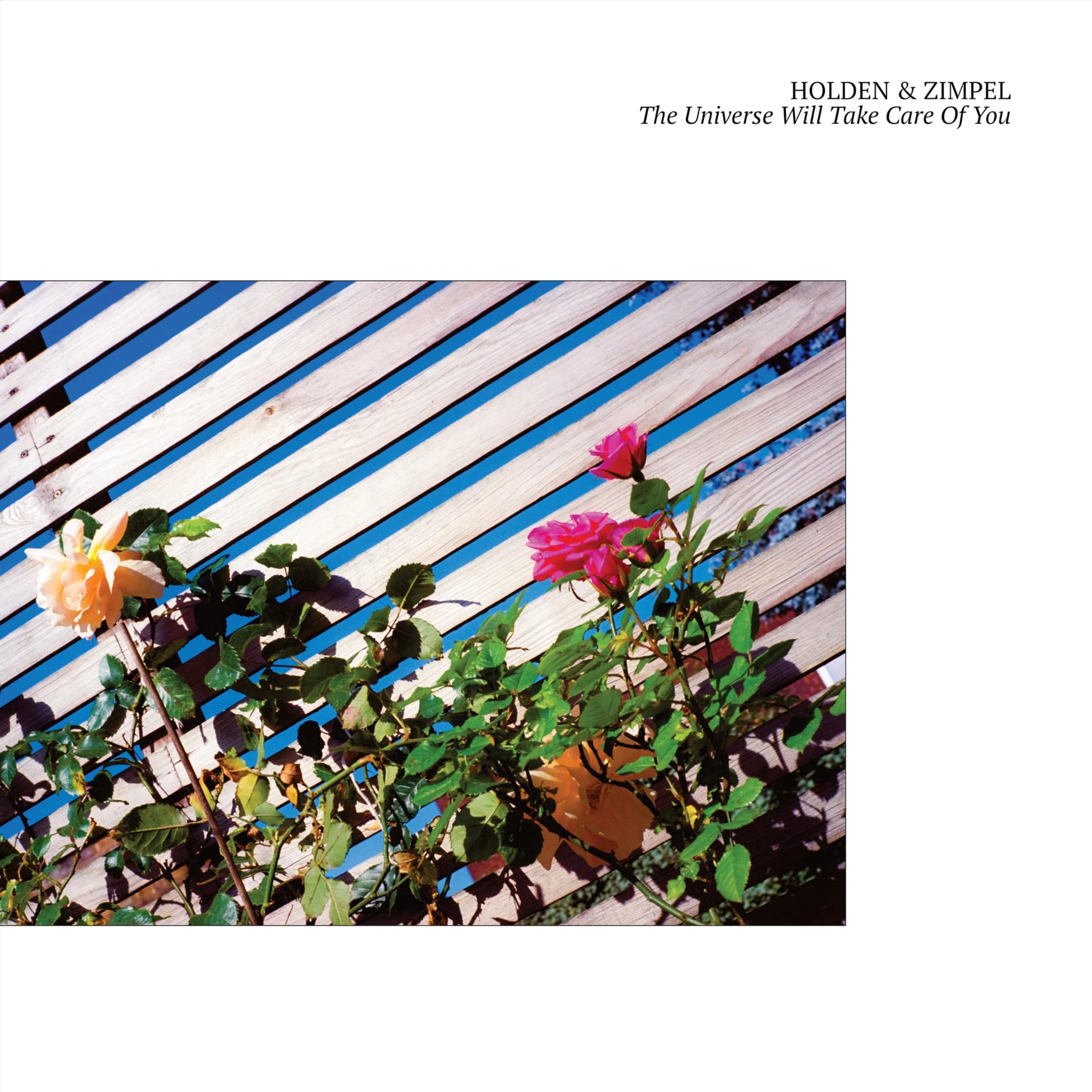 The Universe Will Take Care Of You [VINYL]