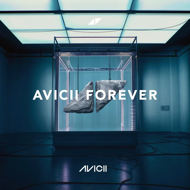 Avicii Forever [Explicit]