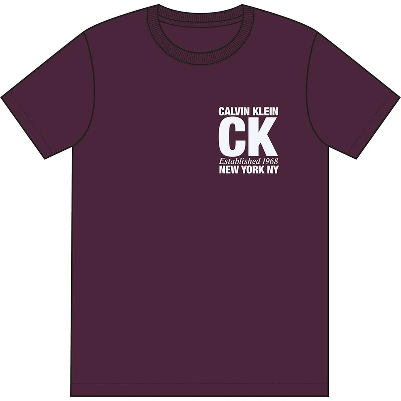 Calvin Klein Men's SS 30s WHSL SP CK Corner Graphic LV04RE819G, Purple, 2XL