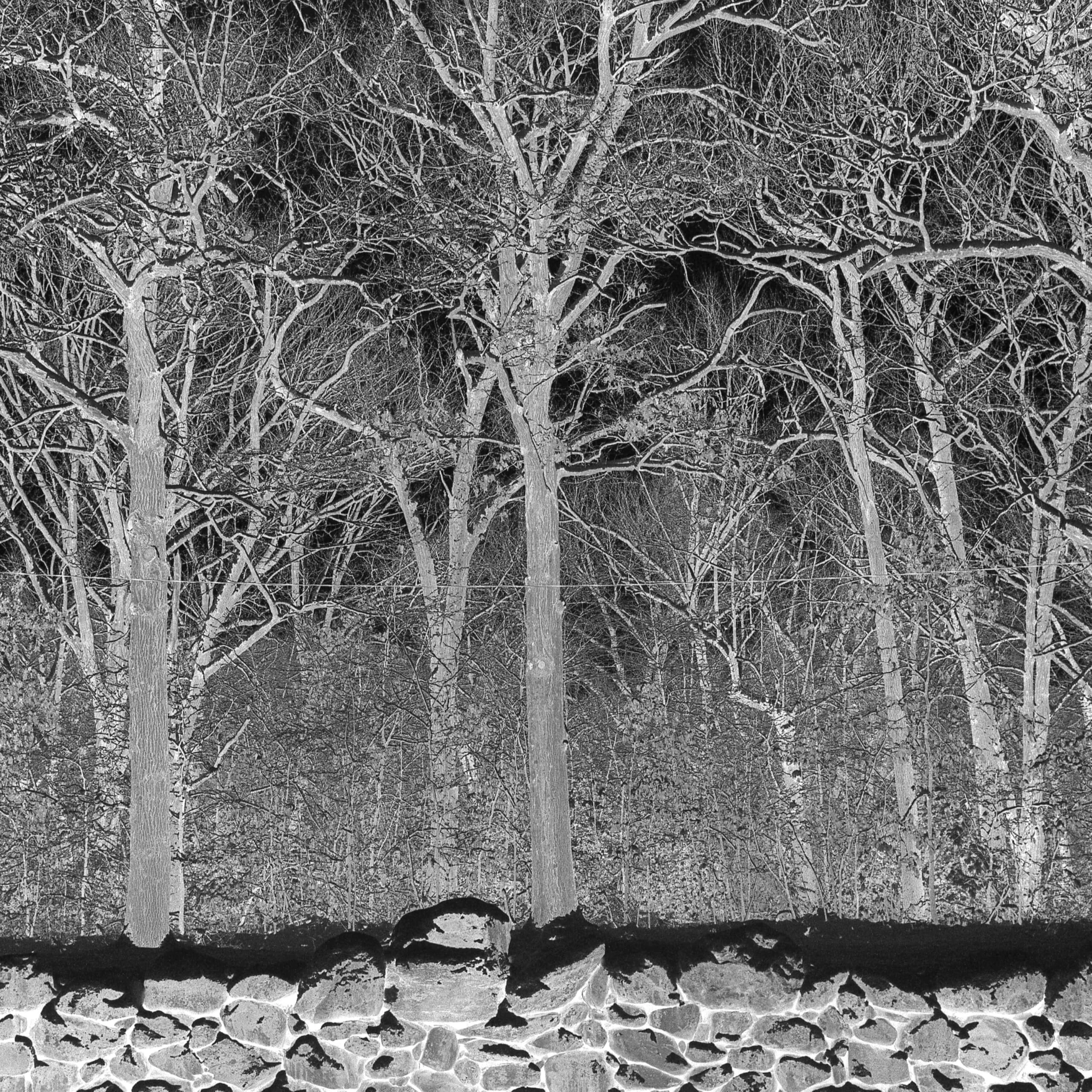 Sunshine and Balance Beams [Explicit]