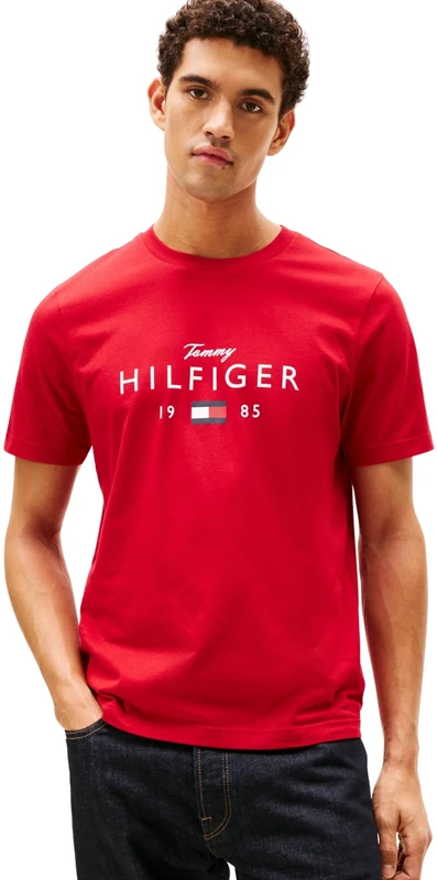 Tommy Hilfiger Men Brand Love Big Hilfiger TEE MW0MW41455 S/S T-Shirt, RED, S