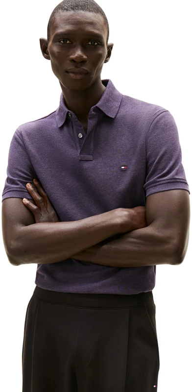 Tommy Hilfiger Men 1985 Regular Polo MW0MW17770 S/S Polo, Purple, XL
